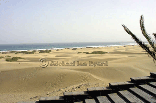 Sand Dunes Vista